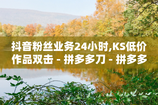 抖音粉丝业务24小时,KS低价作品双击 - 拼多多刀 - 拼多多助力提现成功-第1张图片-靖非智能科技传媒