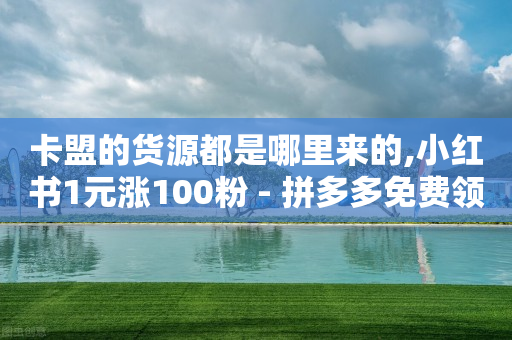 卡盟的货源都是哪里来的,小红书1元涨100粉 - 拼多多免费领5件助力 - 拼多多钻石0.01后还要多少个