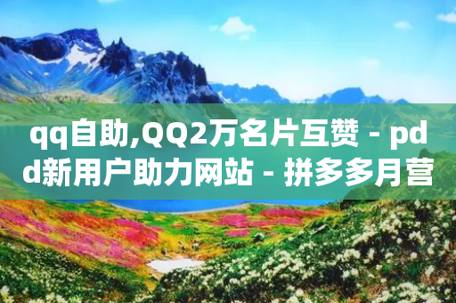 qq自助,QQ2万名片互赞 - pdd新用户助力网站 - 拼多多月营收