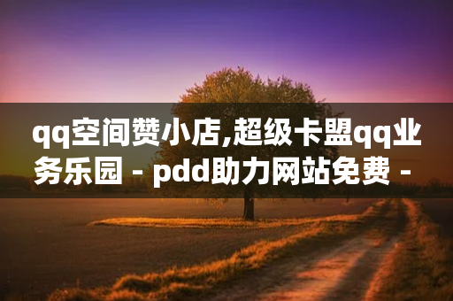 qq空间赞小店,超级卡盟qq业务乐园 - pdd助力网站免费 - 拼多多砍一刀群