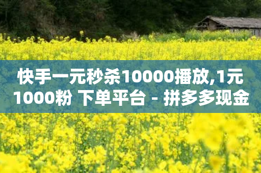 快手一元秒杀10000播放,1元1000粉 下单平台 - 拼多多现金大转盘助力 - 拼多多哪个助力最容易成功-第1张图片-靖非智能科技传媒