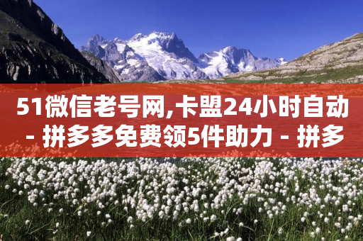 51微信老号网,卡盟24小时自动 - 拼多多免费领5件助力 - 拼多多助力互助群微信