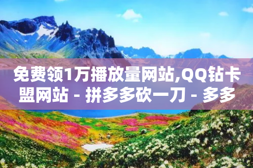 免费领1万播放量网站,QQ钻卡盟网站 - 拼多多砍一刀 - 多多权重软件下载