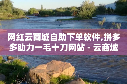 网红云商城自助下单软件,拼多多助力一毛十刀网站 - 云商城-在线下单 - wx号出售平台网