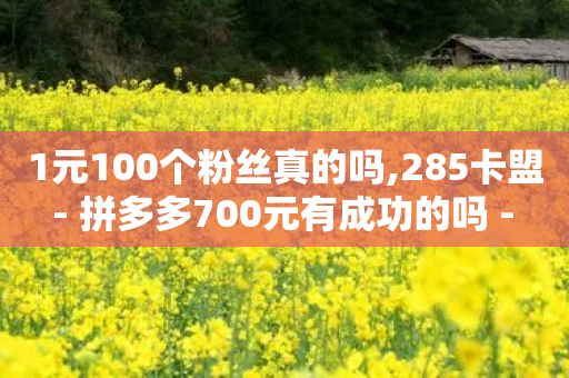 1元100个粉丝真的吗,285卡盟 - 拼多多700元有成功的吗 - 拼多多助力会不会有风险