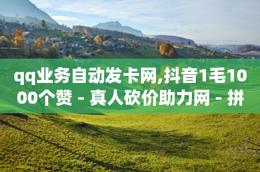 qq业务自动发卡网,抖音1毛1000个赞 - 真人砍价助力网 - 拼多多买资源暗语