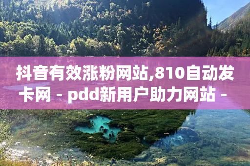 抖音有效涨粉网站,810自动发卡网 - pdd新用户助力网站 - pdd砍一刀会不会-第1张图片-靖非智能科技传媒