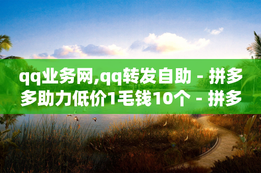 qq业务网,qq转发自助 - 拼多多助力低价1毛钱10个 - 拼多多助力一块钱十刀网站