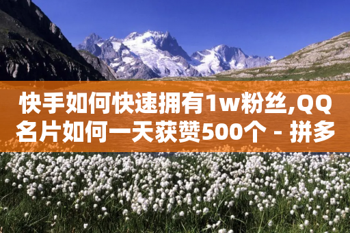 快手如何快速拥有1w粉丝,QQ名片如何一天获赞500个 - 拼多多如何买助力 - 小程序刷好友助力软件-第1张图片-靖非智能科技传媒