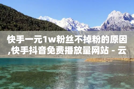 快手一元1w粉丝不掉粉的原因,快手抖音免费播放量网站 - 云小店24小时自助下单 - 拼多多的多多钱包可以提现吗-第1张图片-靖非智能科技传媒