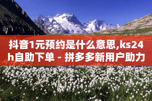 抖音1元预约是什么意思,ks24h自助下单 - 拼多多新用户助力网站 - 拼多多买刀退不了货怎么解决-第1张图片-靖非智能科技传媒