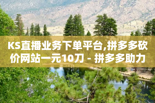 KS直播业务下单平台,拼多多砍价网站一元10刀 - 拼多多助力600元要多少人 - 拼多多怎么自己下单买商品-第1张图片-靖非智能科技传媒