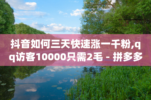 抖音如何三天快速涨一千粉,qq访客10000只需2毛 - 拼多多助力网站在线刷便宜 - 拼多多助力一元十刀网站-第1张图片-靖非智能科技传媒