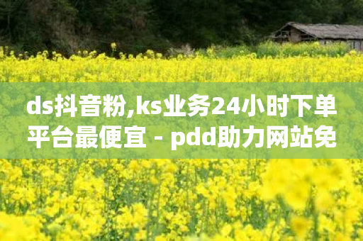 ds抖音粉,ks业务24小时下单平台最便宜 - pdd助力网站免费 - 首码项目发布网