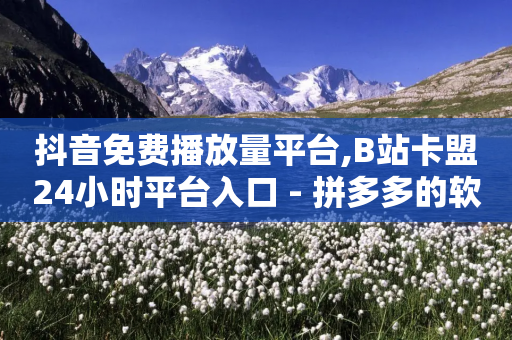 抖音免费播放量平台,B站卡盟24小时平台入口 - 拼多多的软件 - 拼多多是真的能领现金吗