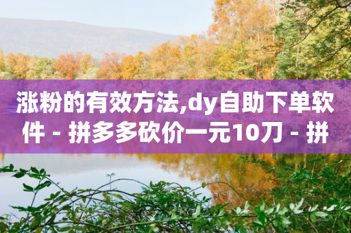 涨粉的有效方法,dy自助下单软件 - 拼多多砍价一元10刀 - 拼多多商家版怎么进行推广