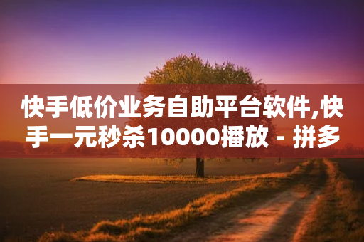 快手低价业务自助平台软件,快手一元秒杀10000播放 - 拼多多砍价下单平台 - 全网辅助最低货源网