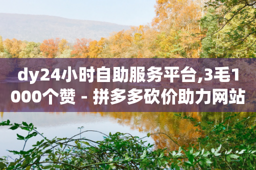 dy24小时自助服务平台,3毛1000个赞 - 拼多多砍价助力网站 - 怎么进入拼多多卖货