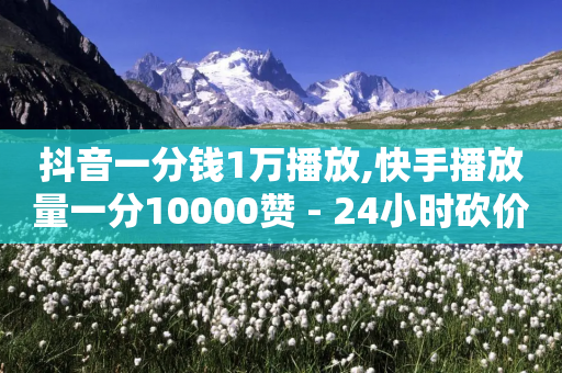 抖音一分钱1万播放,快手播放量一分10000赞 - 24小时砍价助力网 - 拼多多几十块的刀