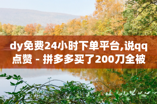 dy免费24小时下单平台,说qq点赞 - 拼多多买了200刀全被吞了 - 拼多多砍价的背后公安提醒