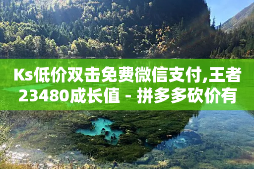 Ks低价双击免费微信支付,王者23480成长值 - 拼多多砍价有几个阶段 - 拼多多助力那个正规