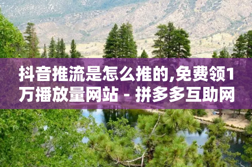 抖音推流是怎么推的,免费领1万播放量网站 - 拼多多互助网站在线刷0.1 - 拼多多运营方法和技巧