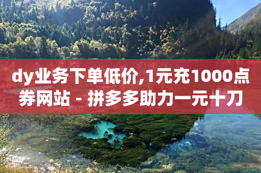 dy业务下单低价,1元充1000点券网站 - 拼多多助力一元十刀怎么弄 - 拼多多还有现金大转盘活动吗