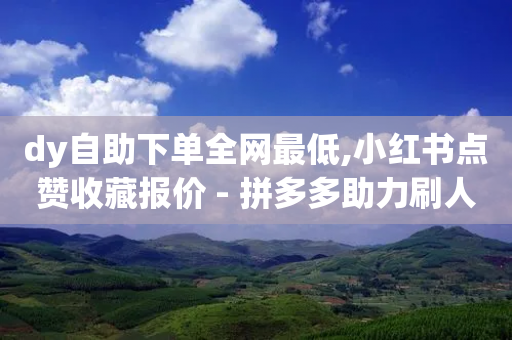 dy自助下单全网最低,小红书点赞收藏报价 - 拼多多助力刷人软件新人 - 自助平台