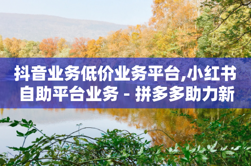 抖音业务低价业务平台,小红书自助平台业务 - 拼多多助力新用户网站 - 拼多多录播防检测