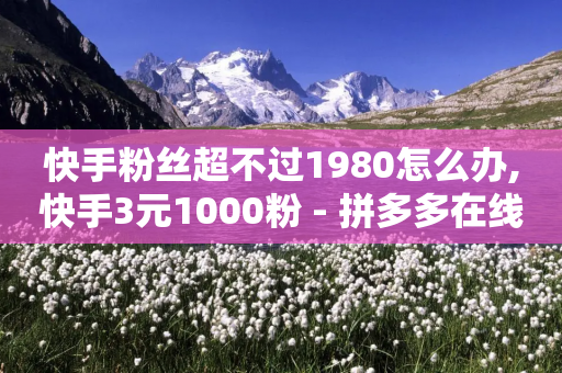 快手粉丝超不过1980怎么办,快手3元1000粉 - 拼多多在线刷助力网站 - 即拼商城