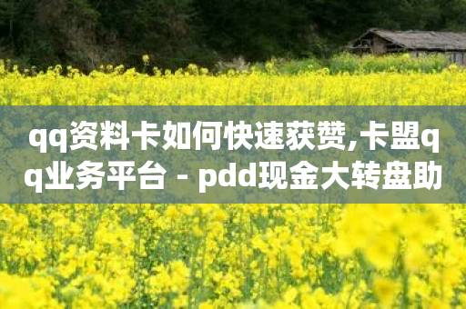 qq资料卡如何快速获赞,卡盟qq业务平台 - pdd现金大转盘助力网站 - 拼多多帮砍助力网站便宜