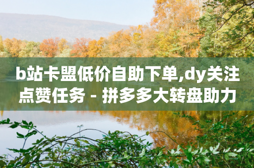 b站卡盟低价自助下单,dy关注点赞任务 - 拼多多大转盘助力软件 - 拼多多助力交易