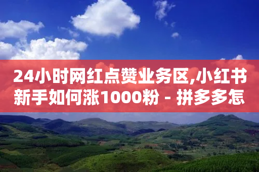 24小时网红点赞业务区,小红书新手如何涨1000粉 - 拼多多怎么助力成功 - 拼多多助力软件免费