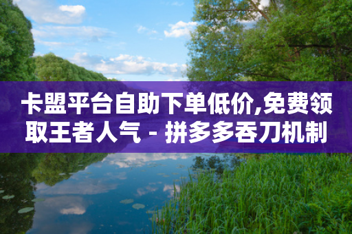 卡盟平台自助下单低价,免费领取王者人气 - 拼多多吞刀机制 - 拼多多提现到元宝后面还有啥