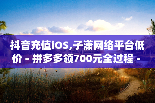 抖音充值iOS,子潇网络平台低价 - 拼多多领700元全过程 - qq卡盟网站