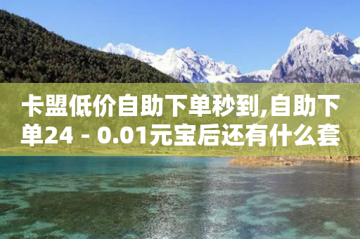 卡盟低价自助下单秒到,自助下单24 - 0.01元宝后还有什么套路 - 拼多多600块钱宝石后面是什么