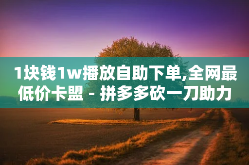 1块钱1w播放自助下单,全网最低价卡盟 - 拼多多砍一刀助力平台 - 微信现金大转盘要多少人