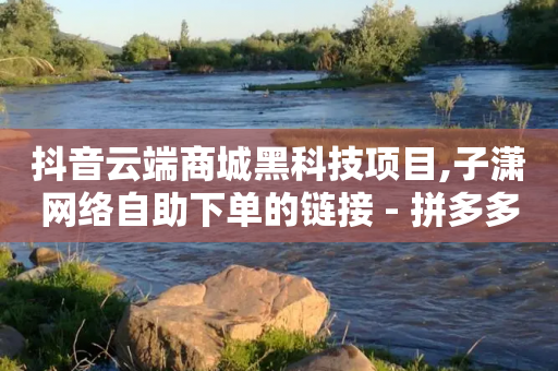 抖音云端商城黑科技项目,子潇网络自助下单的链接 - 拼多多帮砍 - 买刀拼多多砍价