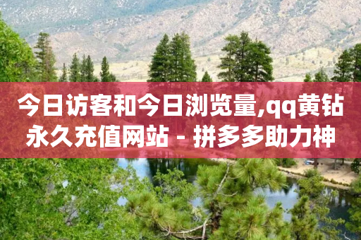 今日访客和今日浏览量,qq黄钻永久充值网站 - 拼多多助力神器软件 - 拼多多互助推金币