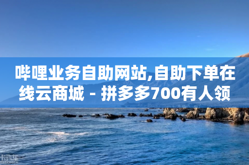 哔哩业务自助网站,自助下单在线云商城 - 拼多多700有人领到吗 - 拼多多买刀助力被警惕了