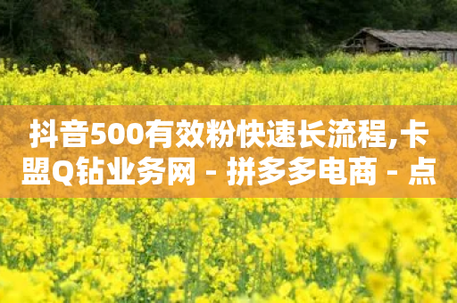 抖音500有效粉快速长流程,卡盟Q钻业务网 - 拼多多电商 - 点赞下单平台自助加盟