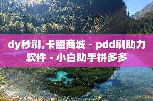 dy秒刷,卡盟商城 - pdd刷助力软件 - 小白助手拼多多