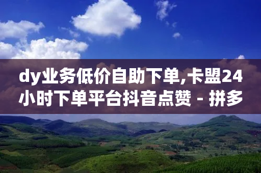 dy业务低价自助下单,卡盟24小时下单平台抖音点赞 - 拼多多砍价助力助手 - 拼多多现任各部负责人