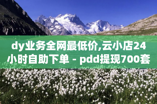 dy业务全网最低价,云小店24小时自助下单 - pdd提现700套路最后一步 - pdd现金大转盘助力群