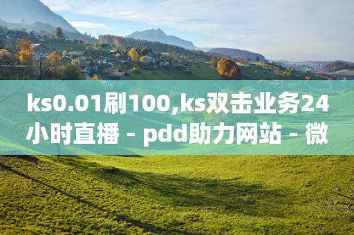 ks0.01刷100,ks双击业务24小时直播 - pdd助力网站 - 微信游戏互助群2024版