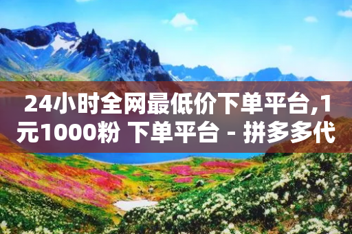 24小时全网最低价下单平台,1元1000粉 下单平台 - 拼多多代砍网站秒砍 - 拼多多互助APP