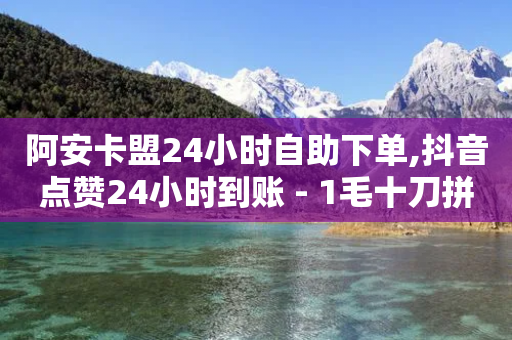 阿安卡盟24小时自助下单,抖音点赞24小时到账 - 1毛十刀拼多多助力网站 - 拼多多红包最后阶段