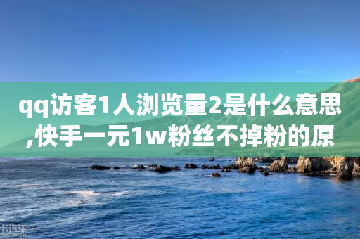 qq访客1人浏览量2是什么意思,快手一元1w粉丝不掉粉的原因 - pdd提现700套路最后一步 - 拼多多大转盘助力网址