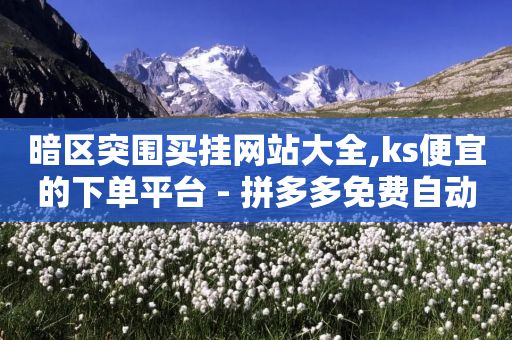 暗区突围买挂网站大全,ks便宜的下单平台 - 拼多多免费自动刷刀软件 - 拼多多9元宝