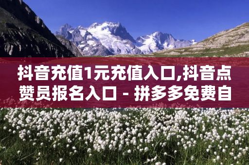 抖音充值1元充值入口,抖音点赞员报名入口 - 拼多多免费自动刷刀软件 - 拼多多邀人助力软件